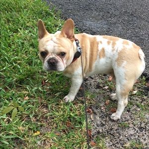 Meet your Posher, Ruth